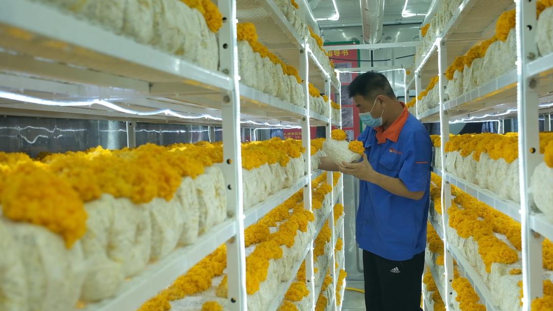 ɽ|fS𡱮a(chn)I(y)ġƼ(wn)a(chn)